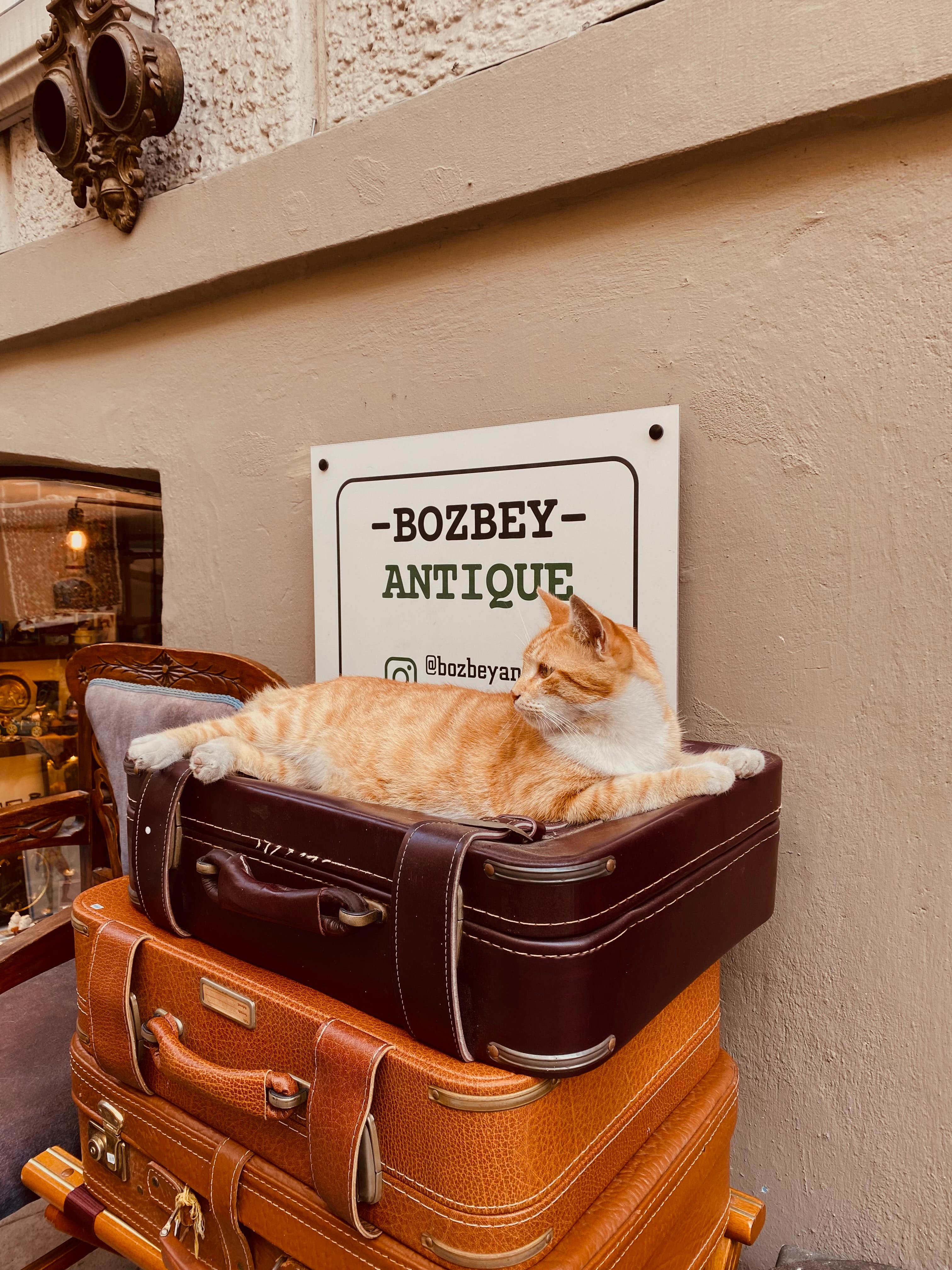 Instagram marketing for antique centres
